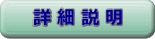 詳細説明